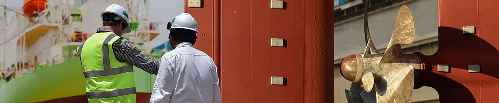 stern tube shaft seal