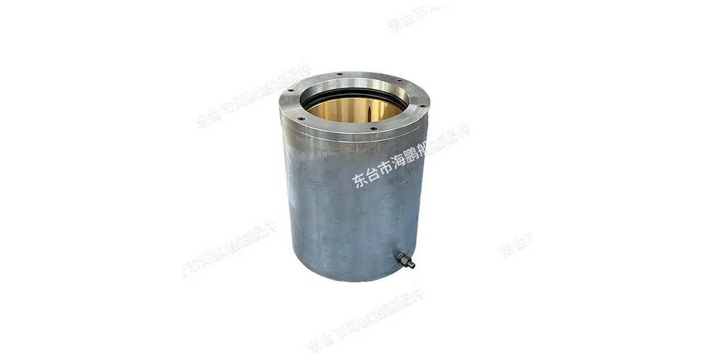 What Is The Purpose of The Rudder Carrier Bearing?